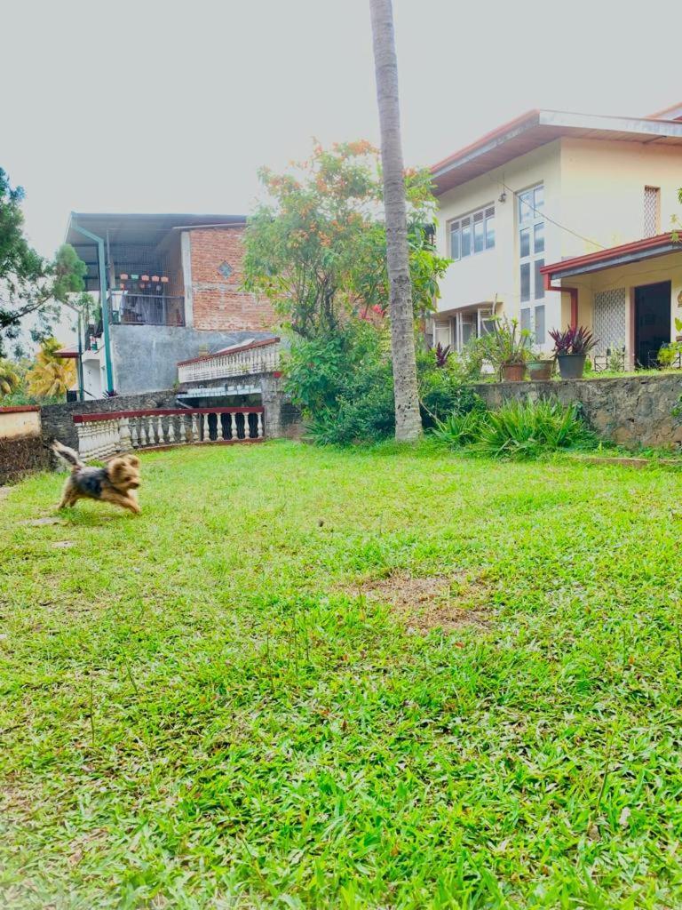 No 06 Veediya Bandara Lane Bahirawakanda Kandy Zewnętrze zdjęcie